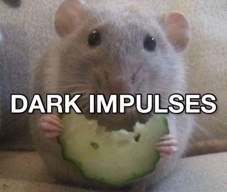 DARK IMPULSES