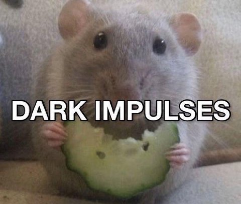 DARK IMPULSES