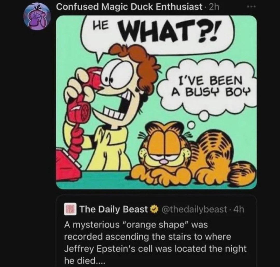 Confused Magic Duck Enthusiast ГУЕ ВЕЕМ 34 A BUSY BOY we О [0 The Daily Beast @thedailybeast A mysterious “orange shape” was recorded ascending the stairs to where Jeffrey cell was located the night h