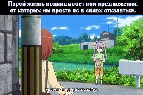 Порой жизнь подкидывает нам предложення, от которых мы просто не в снлах отказаться. a Nowy у 1 подержать жабу?