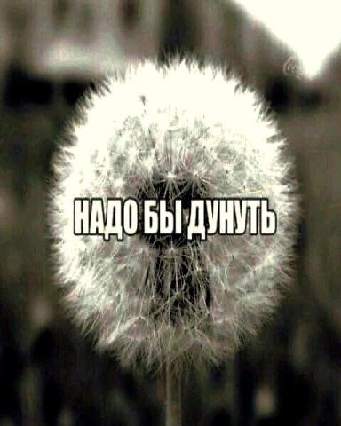 shut а A