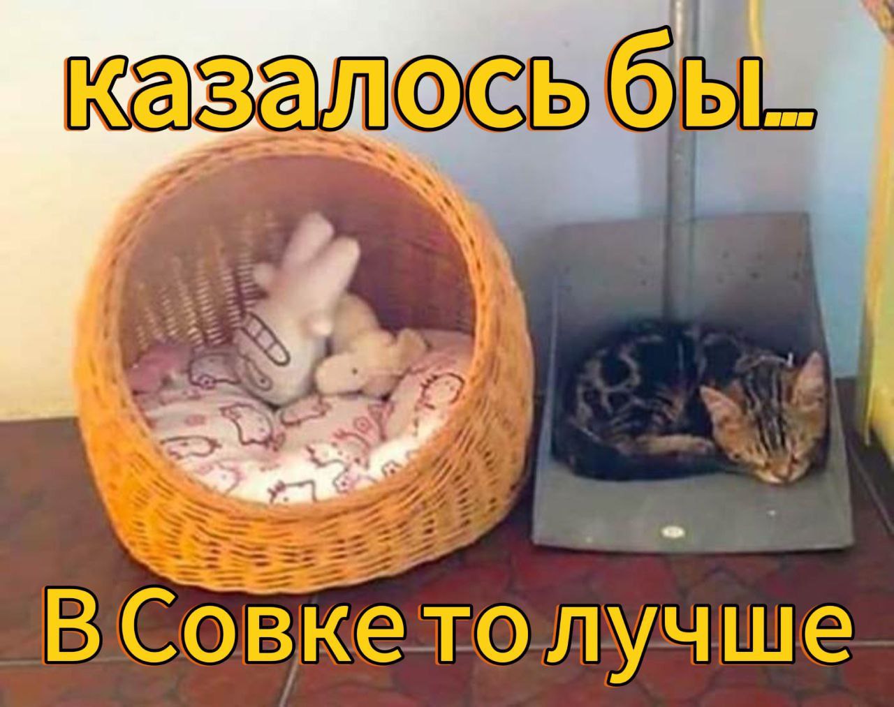 В Совке толучше