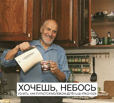 у ХОЧЕШЬ, НЕБОСЬ УЗНАТЬ, КАК ПИТАЕТСЯ МОЛОКОМ ДЕТЕНЫШ УТКОНОСА