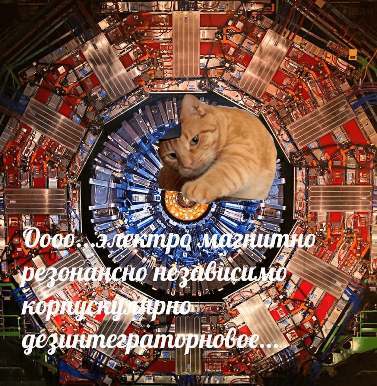 ast 27% we {7 у Zoe tad у дезинтегр in 47 at wee