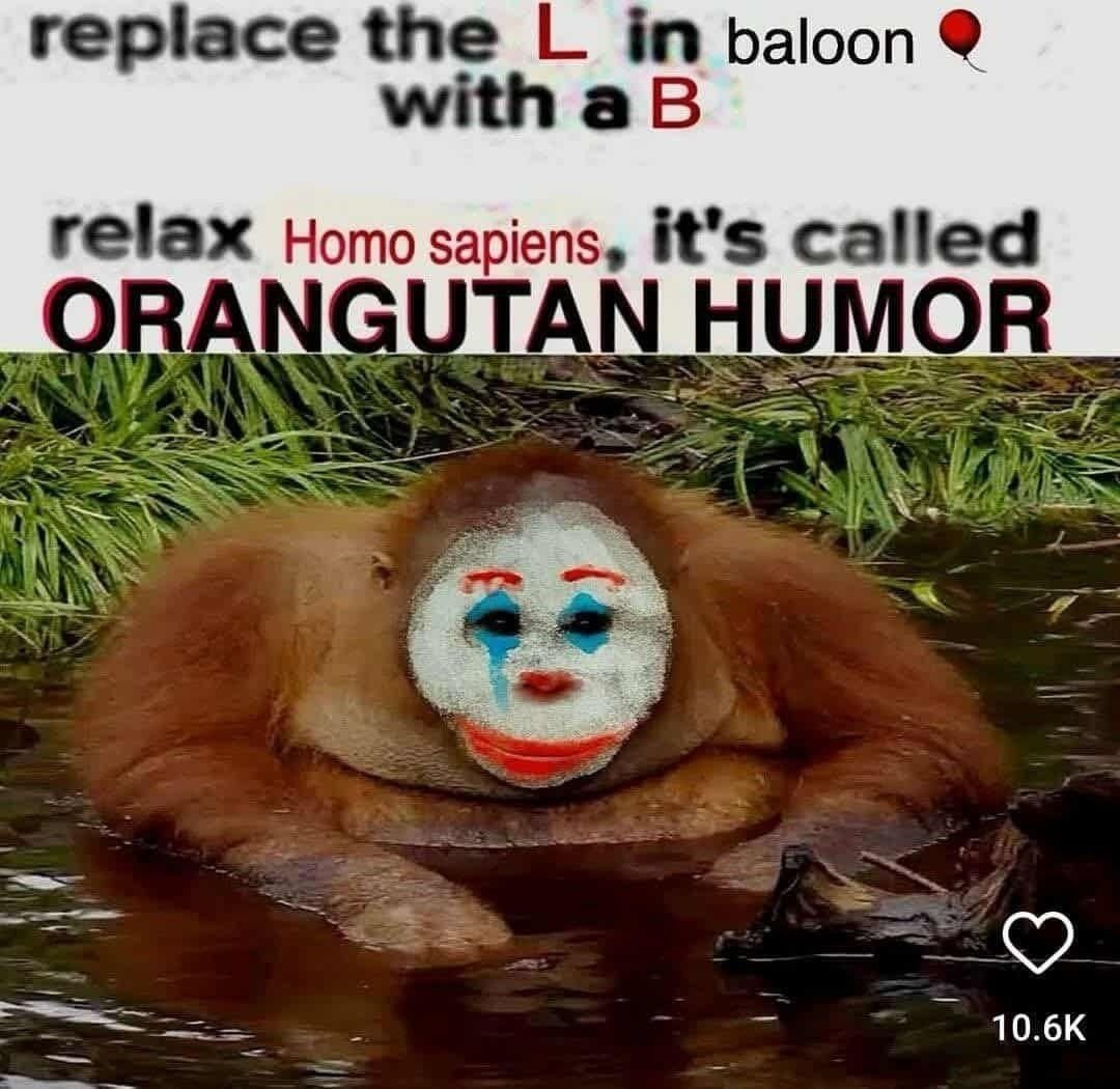 replace the in baloon with relax Homo sapiens, it’s called HUMOR У.