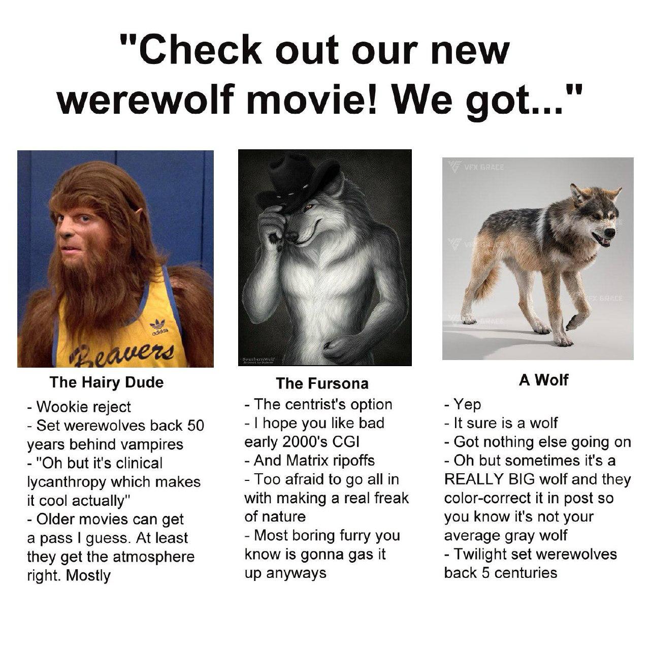 "Check out our new werewolf movie! We got..." The Hairy Dude The Fursona A Wolf Wookie reject The centrist's option Yep Set werewolves back 50 hope you like bad It sure is a wolf early CGI Got nothing