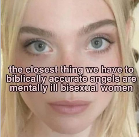 the closest we have to biblically accurate angels are mentally ill bisexual