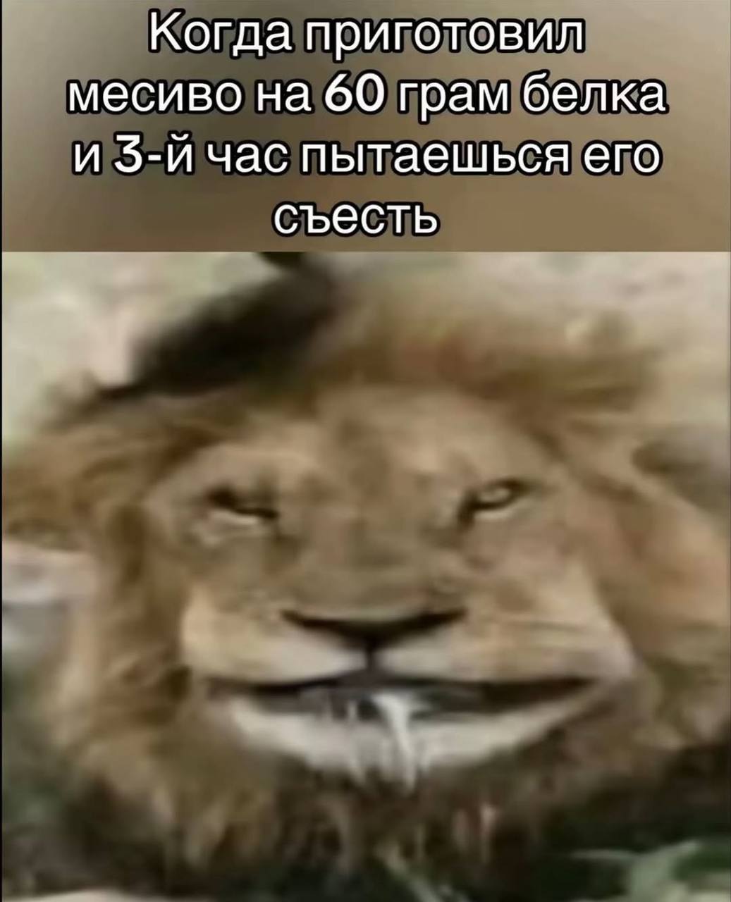 Когда приготовил месиво на 60 грам белка и час пытаешься его съесть