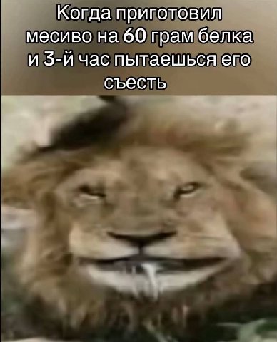 Когда приготовил месиво на 60 грам белка и час пытаешься его съесть