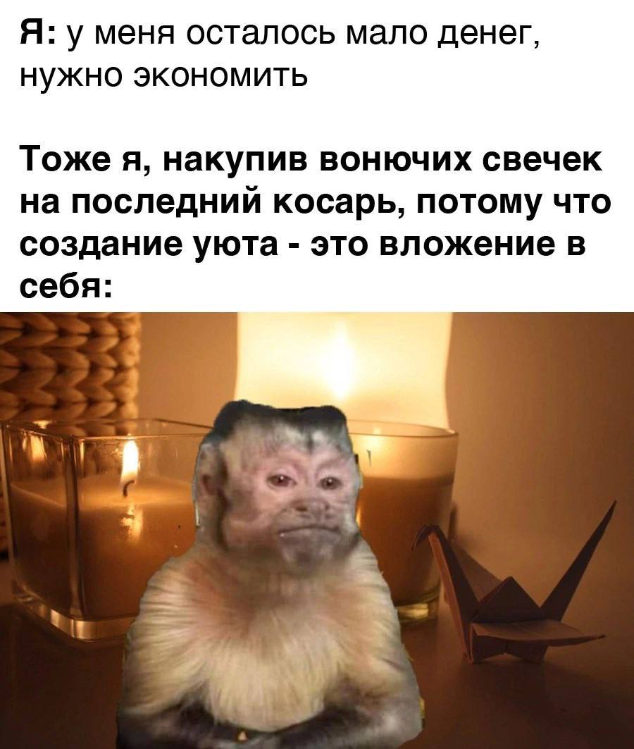 Я: у меня осталось мало денег, нужно экономить Тоже A, накупив вонючих свечек на последний косарь, потому что создание уюта это вложение в себя: у