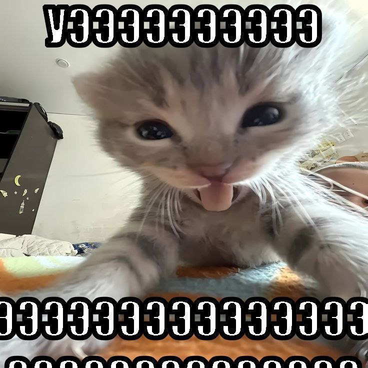 а о 3993