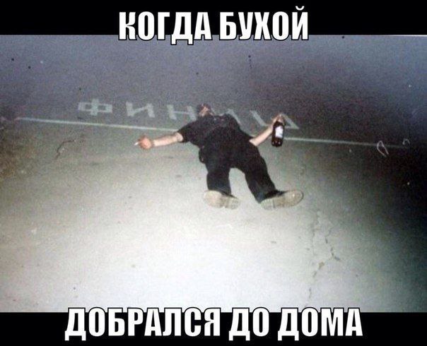 БУКОЙ ДОБРАЛСЯ ДО ДОМА