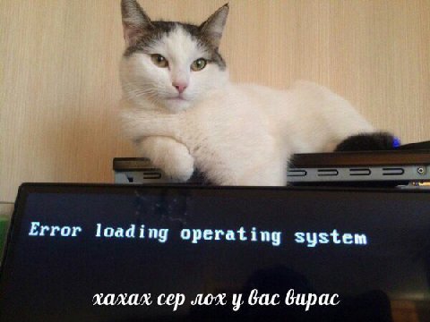 Error loading operating system хахах сер лох вас вирас