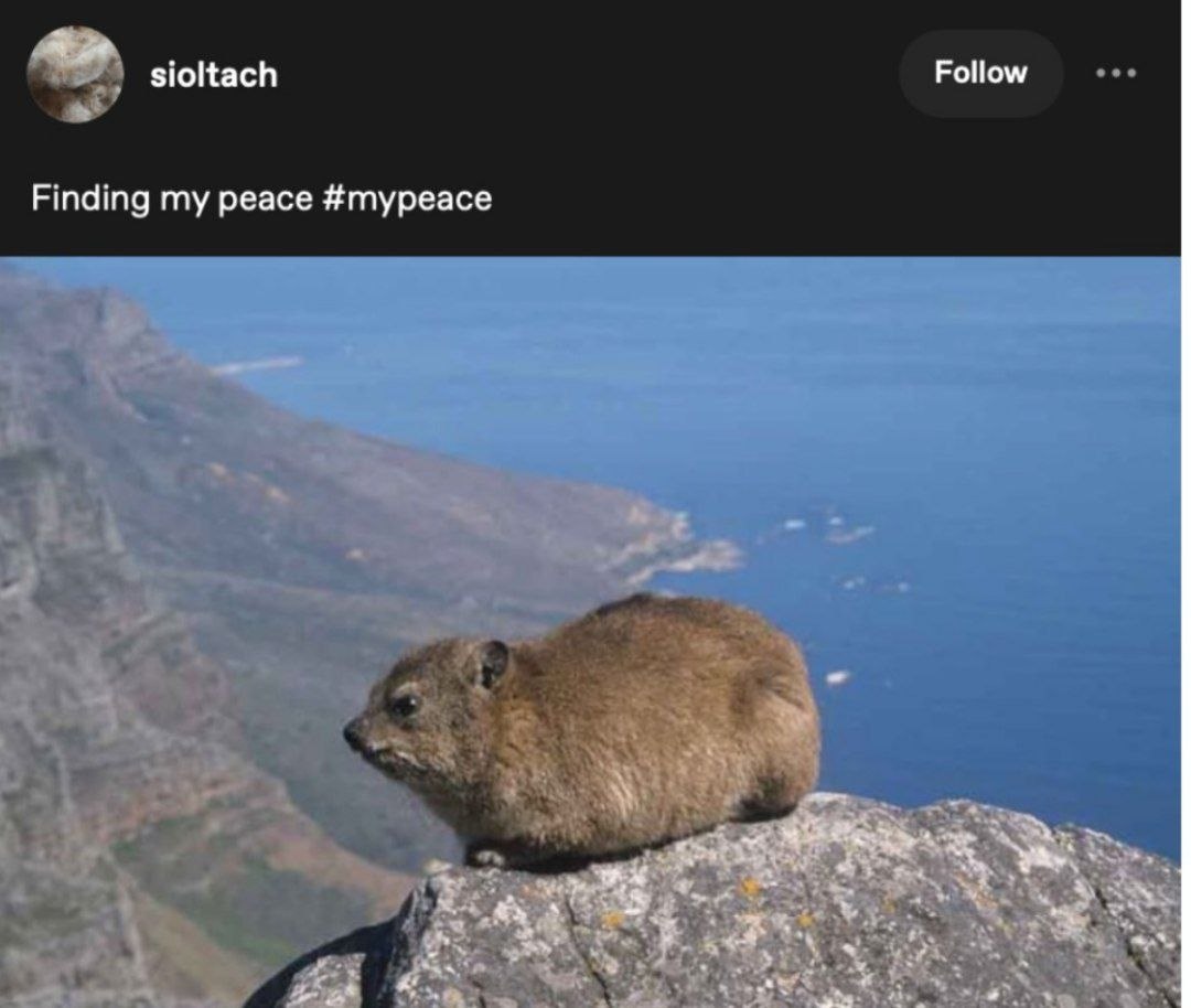 sioltach Follow Finding my peace #mypeace