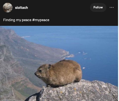 sioltach Follow Finding my peace #mypeace