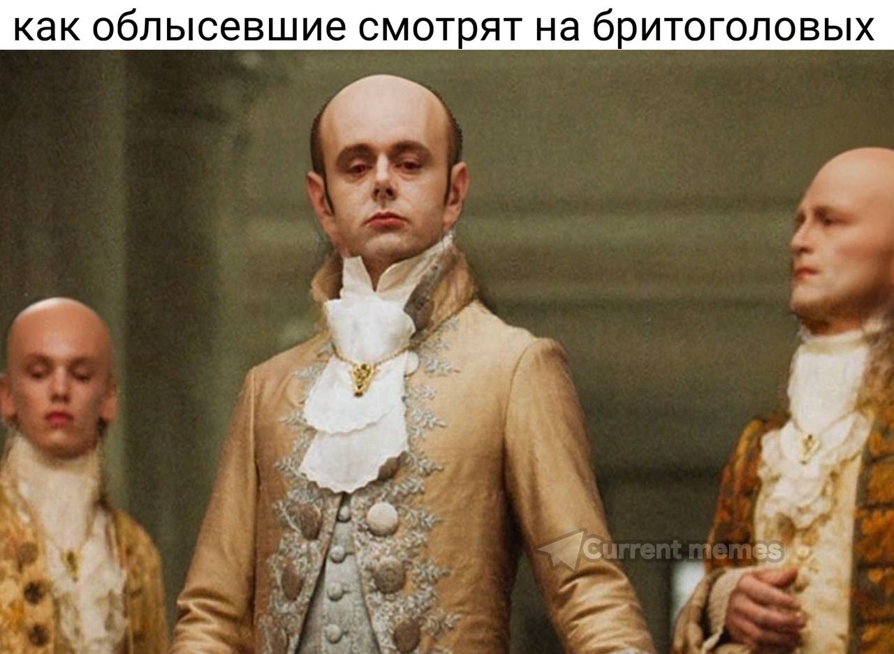 как облысевшие смотрят на бритоголовых