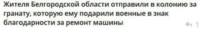 Жителя Белгородской области отправили в колонию за гранату, которую ему подарили военные в знак благодарности за ремонт машины