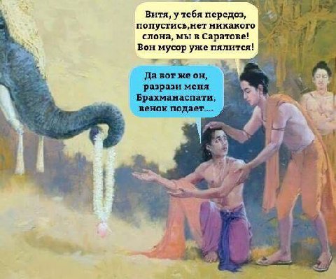 Витя, у тебя передоз, попустись,нет никакого слона, мы в Саратове! Вон мусор уже пялится! Давотжеон, разрази меня 7 of 7 А к 5