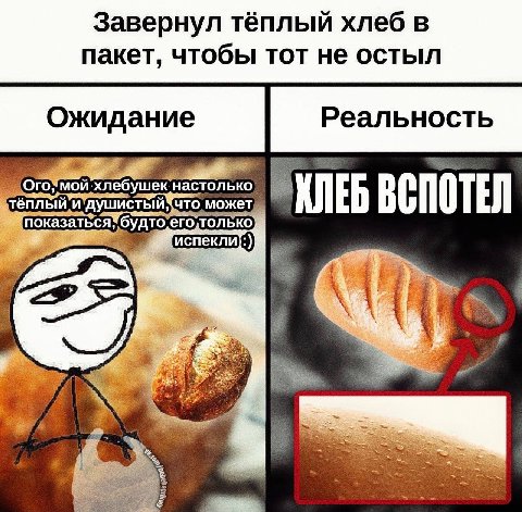 Завернул тёплый хлеб в пакет, чтобы тот не остыл Реальность Ожидание МОЙ настолько теплый что, может, ВСПОТЕЙ показаться,