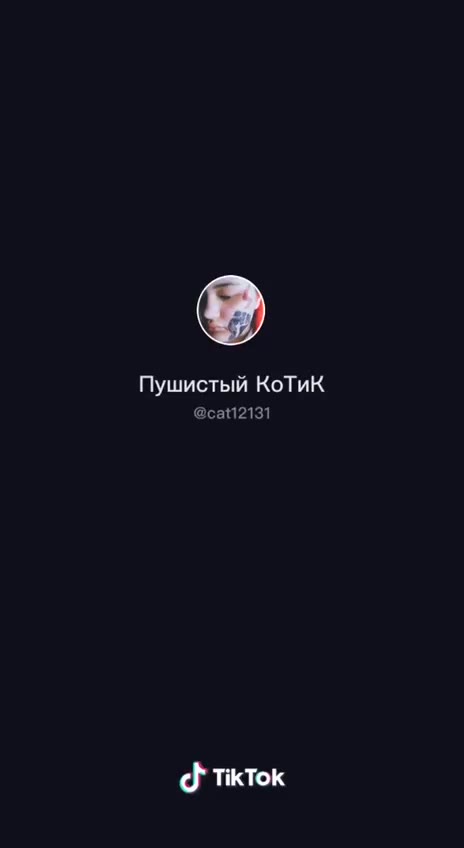Пушистый КоТиК