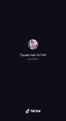 Пушистый КоТиК