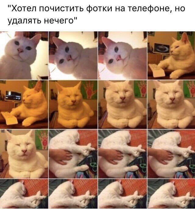 "Хотел почистить фотки на телефоне, но удалять нечего"