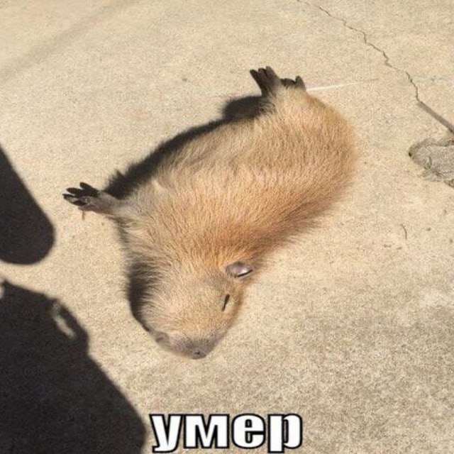 у