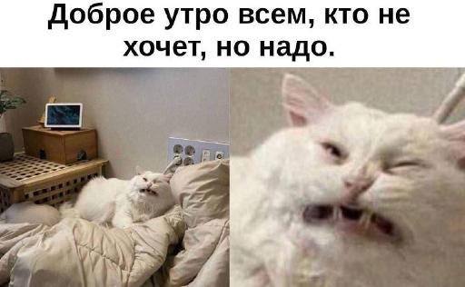Доброе утро всем, кто не хочет, но надо. <4