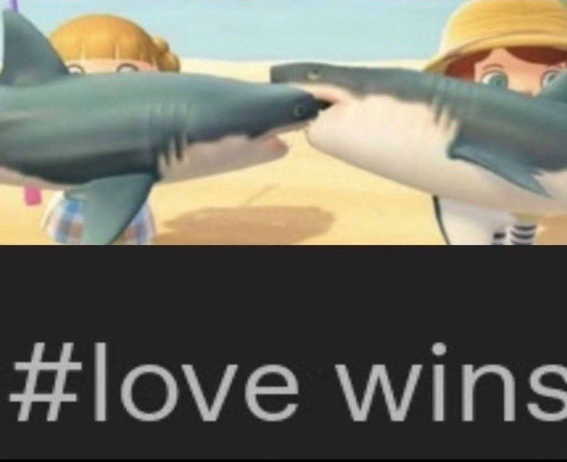 wins