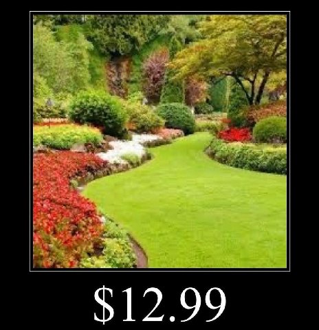 $12.99