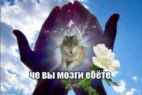 вы мозги