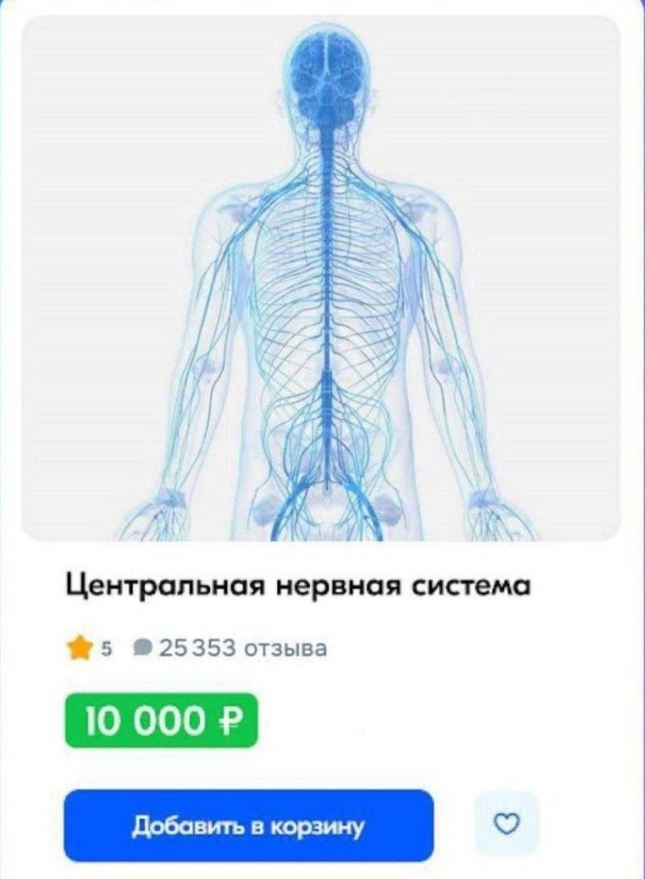 у Центральная нервная система №5 925353 отзыва 10 000