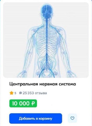 у Центральная нервная система №5 925353 отзыва 10 000