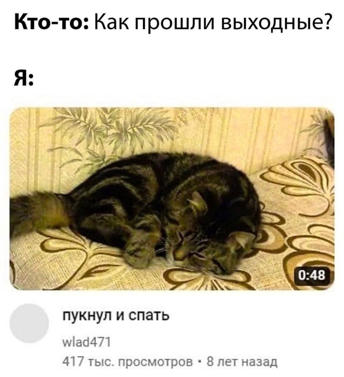 Кто-то: Как прошли выходные? Я: у пукнул и спать wlad471 417 тыс. просмотров 8 лет назад