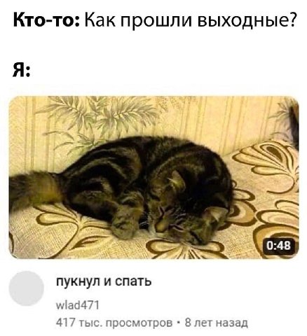 Кто-то: Как прошли выходные? Я: у пукнул и спать wlad471 417 тыс. просмотров 8 лет назад