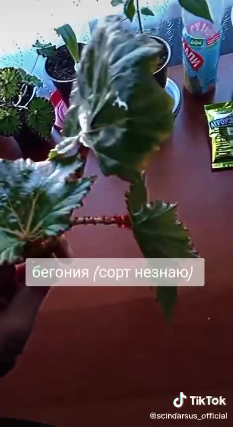 охуенный флекс