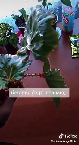 охуенный флекс
