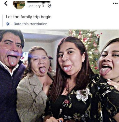 eee Let the family trip begin Rate this translation 4 4 4