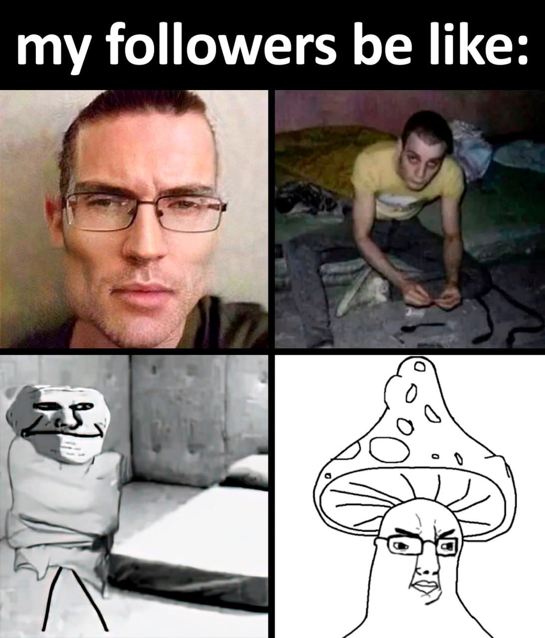 my followers be like