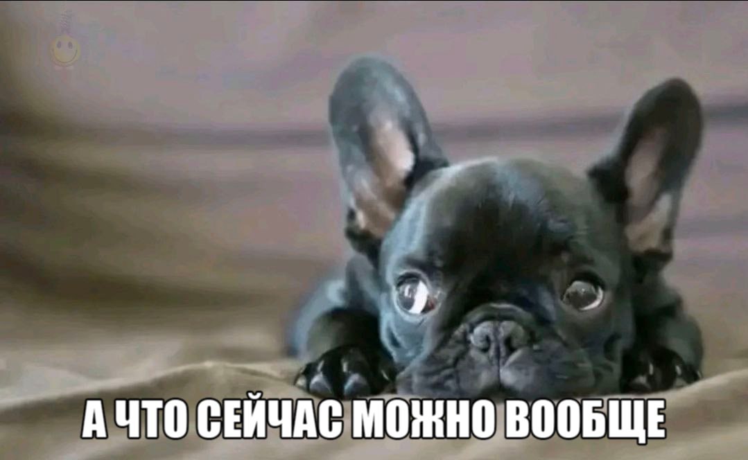 СЕЙЧАС МОЖНО ВООБЩЕ