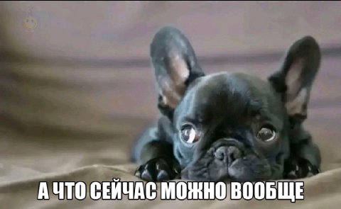 СЕЙЧАС МОЖНО ВООБЩЕ