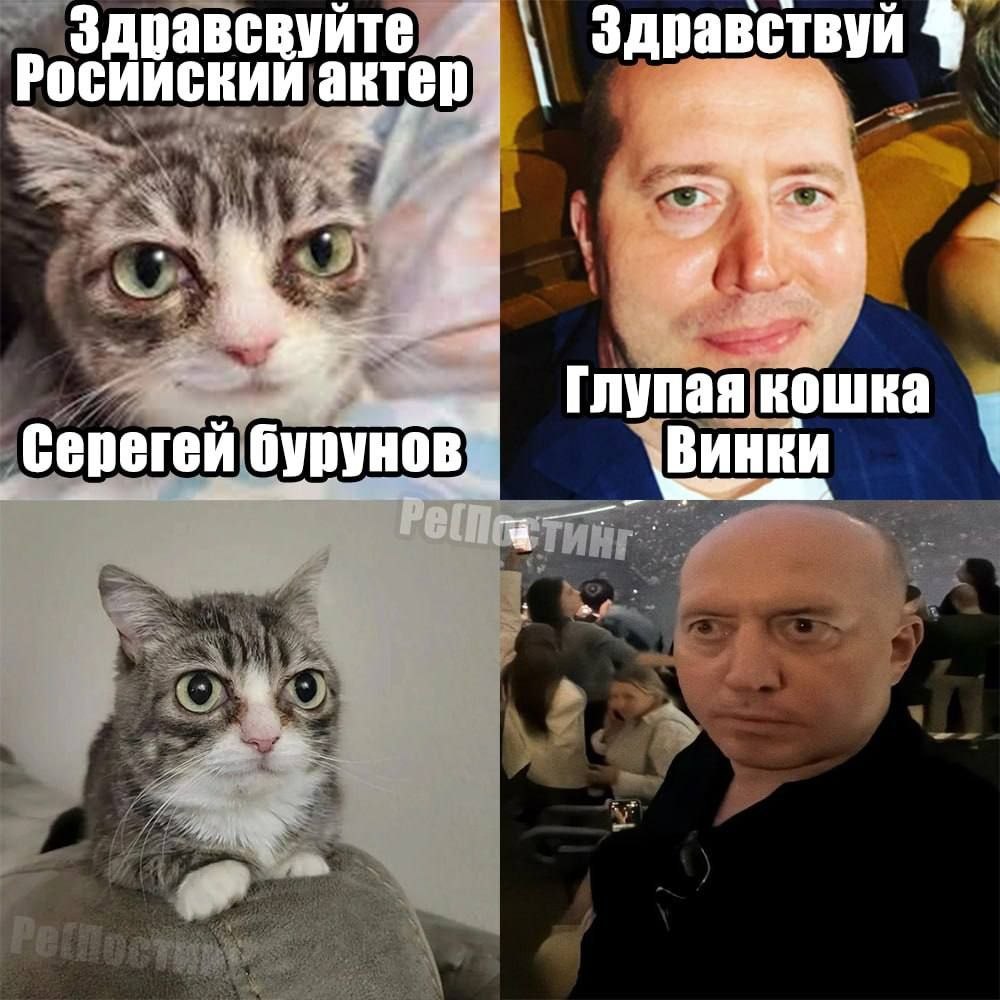 Здравсвуйте Здравствуй 9 актер кошка