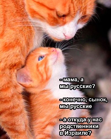 5 3. a мы/русские? сынок, аоткудау Hac an родственники Чв'Израиле?