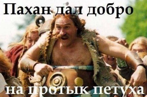 i на црбтык. петуха