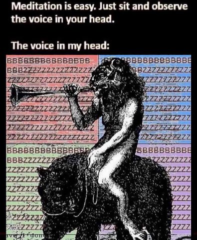 Meditation is easy. Just sit and observe the voice in your head The voice in my head i= ВВВВВВВВВВЕ В8822272222272272 227777: 772 222222272 7722290 ВВВВВВВВВ 62.2772 227777 22772220 222 ZZZZZZZ 222722