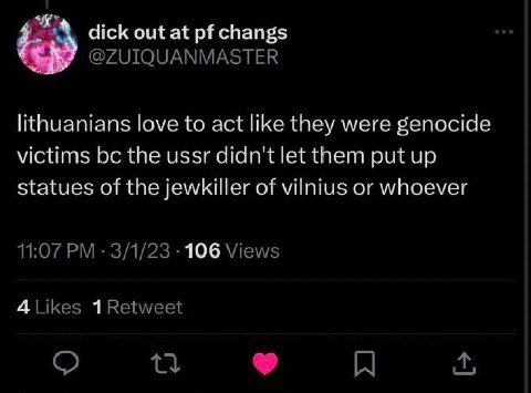 dick out at changs @ZUIQUANMASTER lithuanians love to act like they were genocide victims the ussr didn't let them put up statues of the jewkiller of vilnius or whoever 11:07 3/1/23 106 Views 4Likes 1