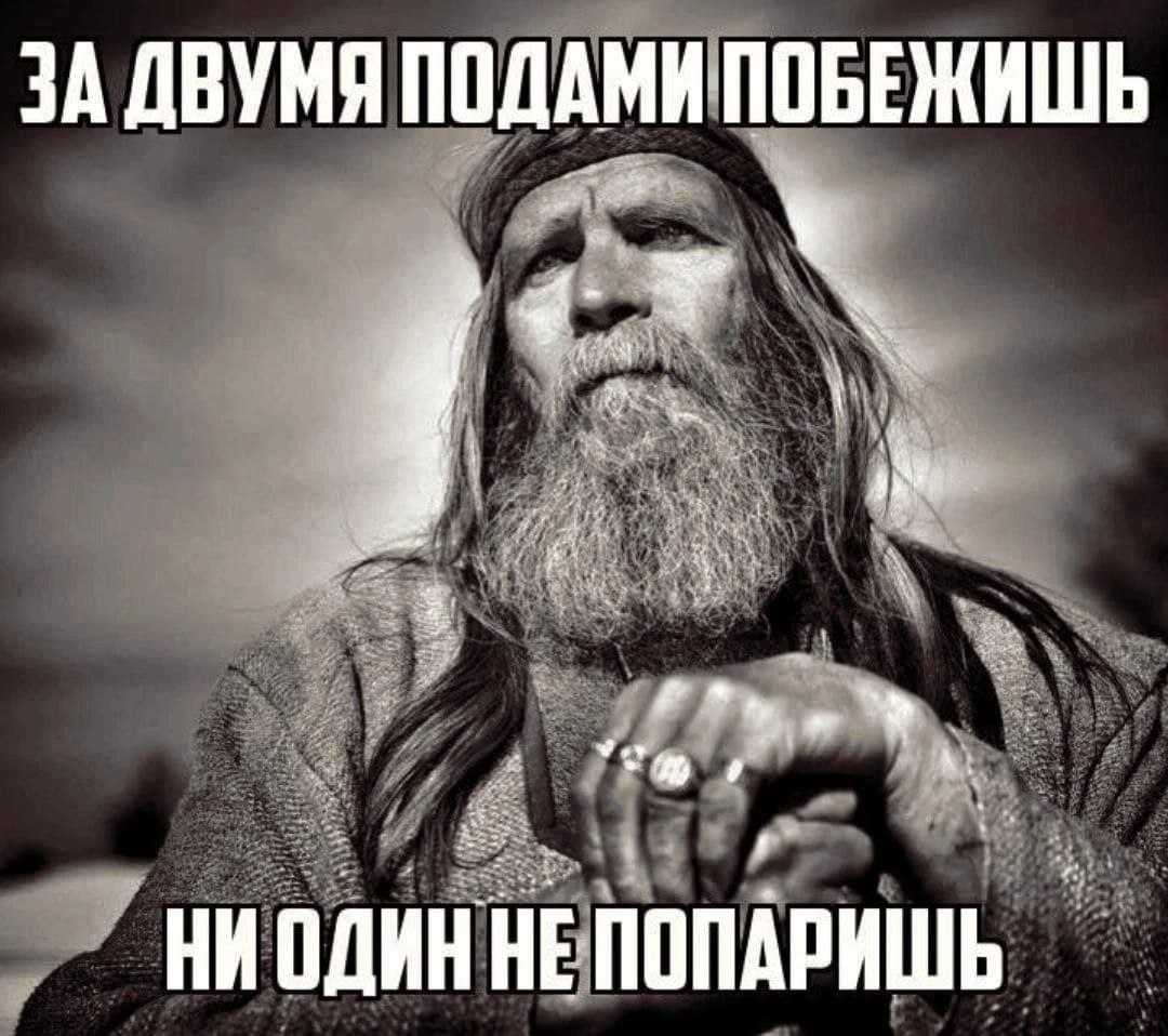 ЗА ДВУМЯ ПОДАМИ ПОБЕЖИШЬ 1 sive НИ ОДИН HE ПОПАРИШЬ