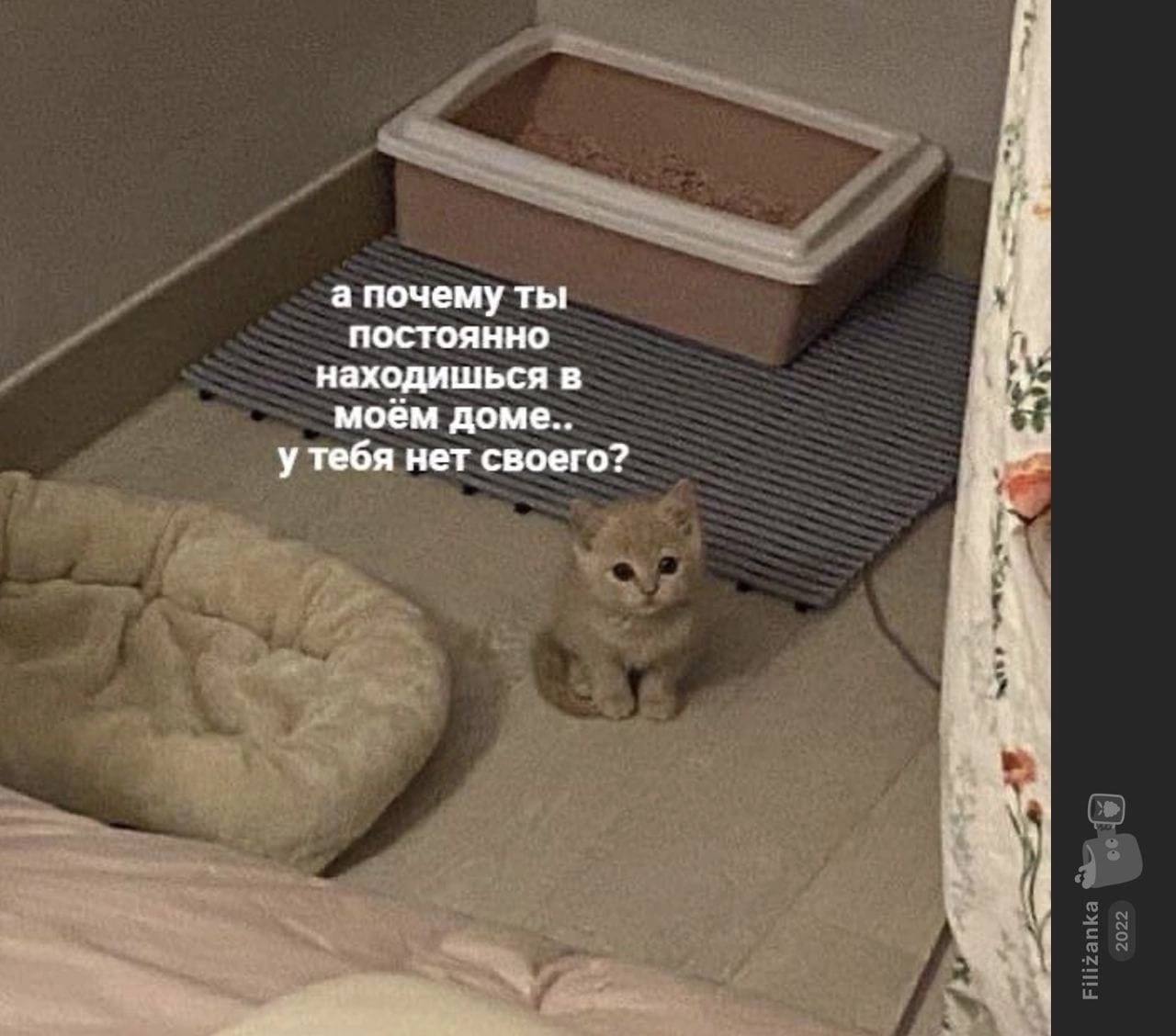 а почему ты постоянно находишься в моём доме.. у тебя нет своего?