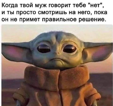 Когда твой муж говорит тебе "нет", и ты просто смотришь на него, пока он не примет правильное решение.