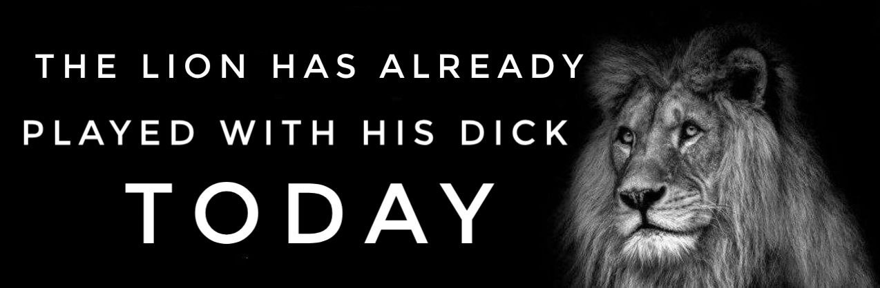 THE LION HAS ALREADY PLAYED WITH HIS DICK TODAY